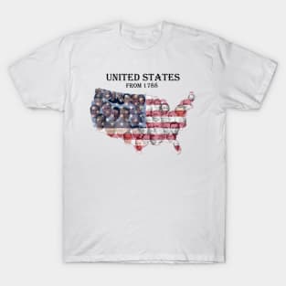 All President of USA T-Shirt